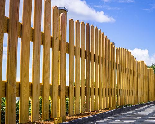 Fence Cleaning