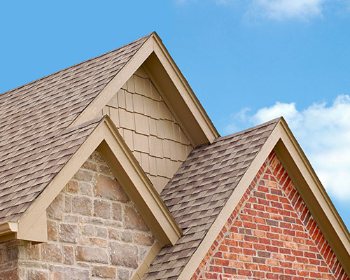 Roof Cleaning